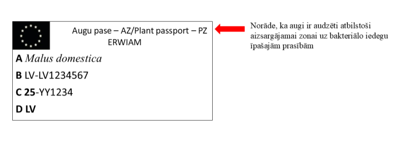 Augu pases ERWIAM vizuāls piemērs