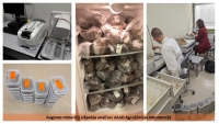Paraugu analīzes laboratorijā - foto kolāža