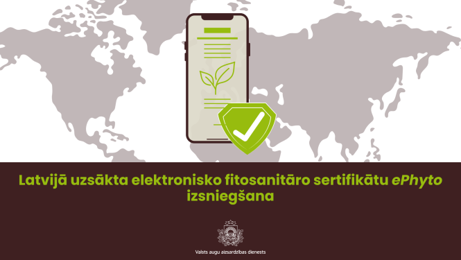 Apakšā teksts par ePhyto izsniegšanas sākumu Latvijā; augšā fonā pasaules karte, priekšpusē telefons ar sertifikātu un apstiprinājuma zīmi. 