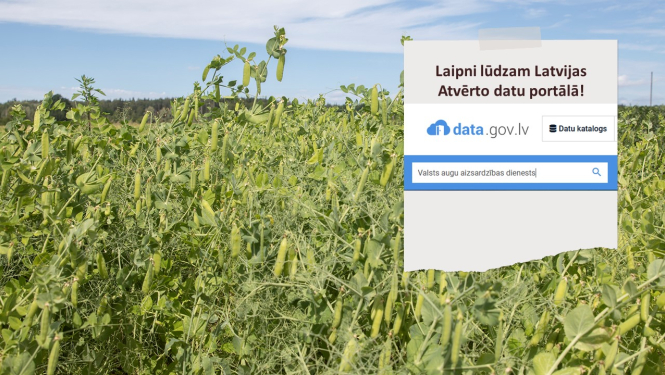 Fonā zirņu lauks, priekšplānā teksts par atvērto datu portālu