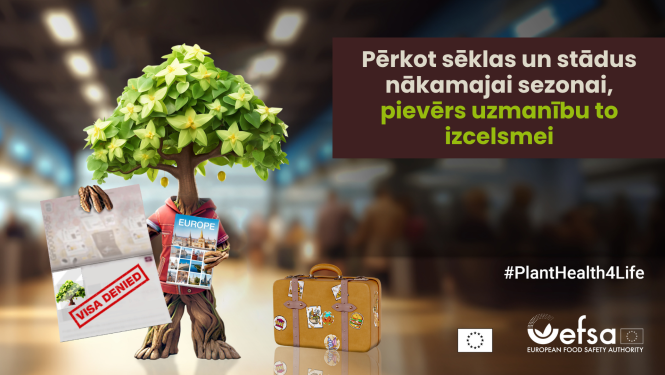 EFSA kampaņas #PlantHealth4Life oficiālais vizuālis ar augu, kas rokās tur pasi, ceļvedi un blakus ceļojumu koferi