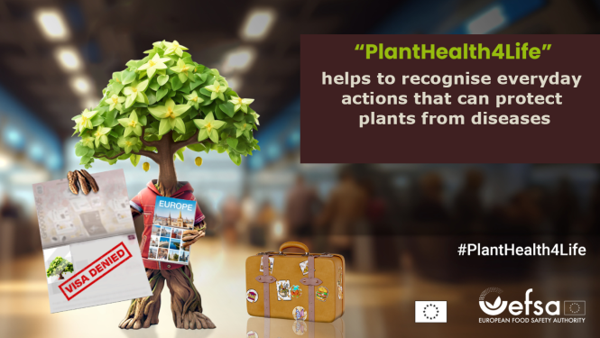 EFSA campaign visual featuring an animated plant standing next to a suitcase and holding a rejected visa application in its hands.
