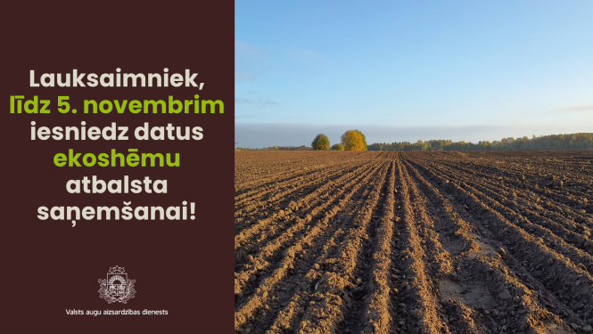 Kreisajā pusē aicinājums iesniegt ekoshēmu datus, labajā pusē apsēts kviešu lauks oktobrī
