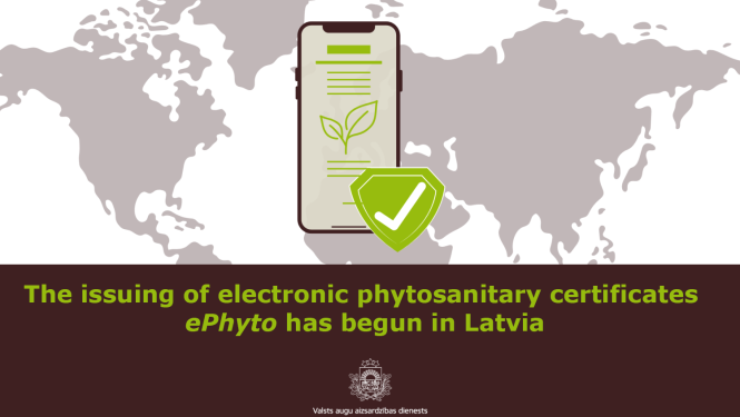 At the bottom, there is text about the start of issuing ePhyto in Latvia; at the top, there is a world map in the background, and in the foreground a phone with a certificate and a confirmation mark.