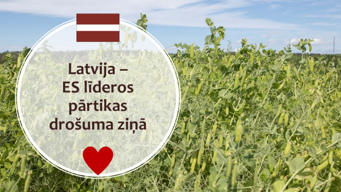 zirņu lauks, virsraksta teksts, LV karogs un sirsniņas simbols