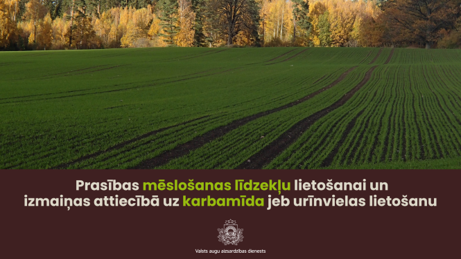 Labības lauks rudenī
