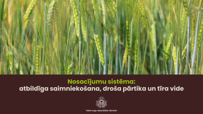 Zaļš labības lauks.