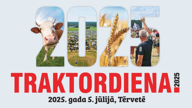 Vizualizācija