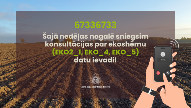 VAAD konsultatīvais tālrunis