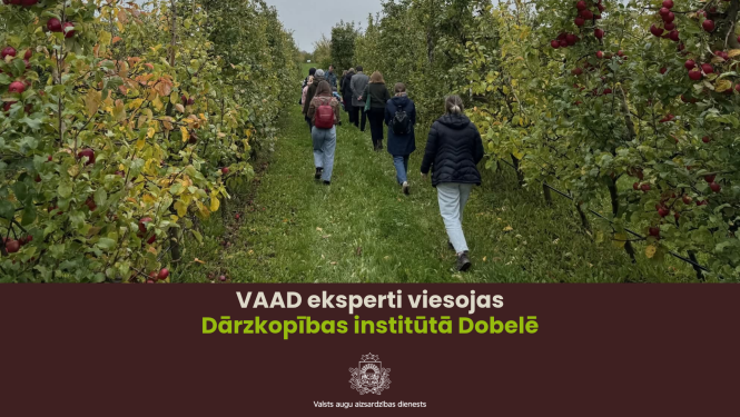 AAD eksperti Dobeles Dārzkopības institūtā 