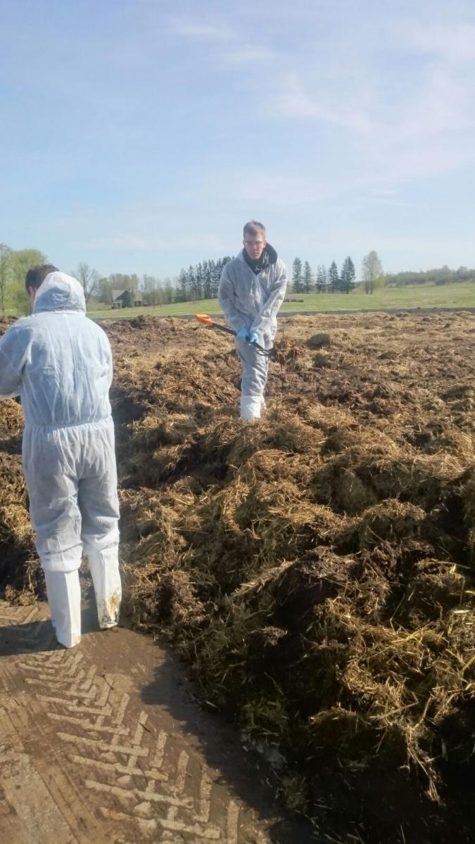 Kūtsmēslu paraugu ņemšana