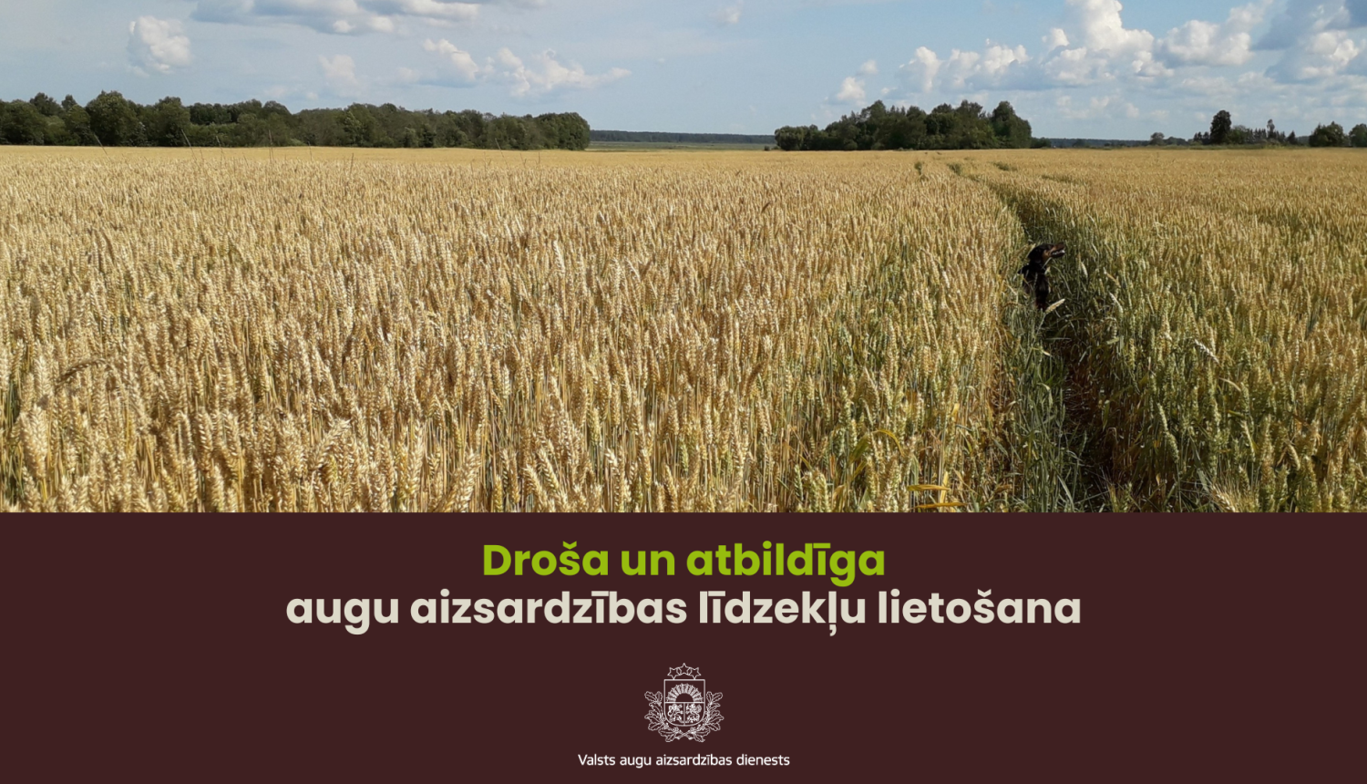 Teksts: Droša un atbildīga augu aizsardzības līdzekļu lietošana. Attēls: Labības lauks 