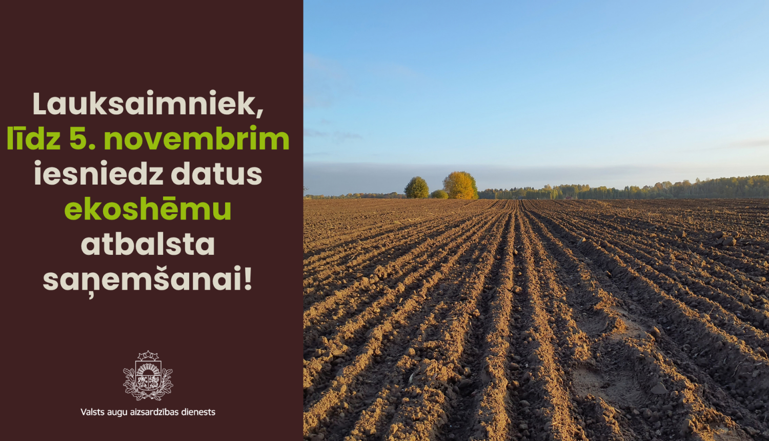 Kreisajā pusē aicinājums iesniegt ekoshēmu datus, labajā pusē apsēts kviešu lauks oktobrī