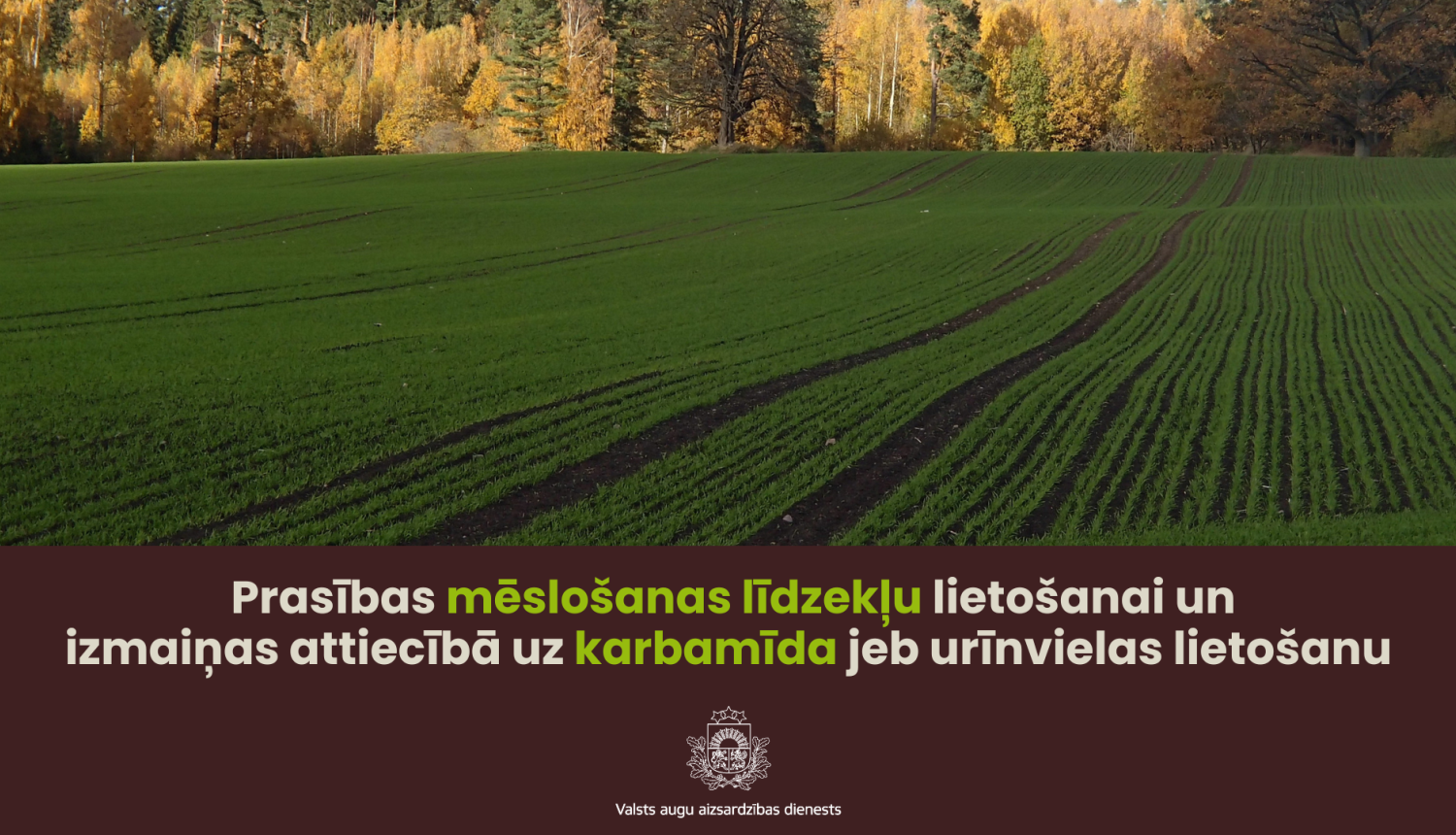 Labības lauks rudenī