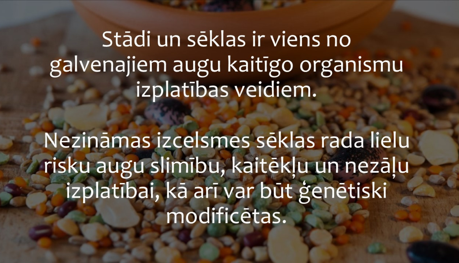 citāts no teksta, fonā satumšināts dažādu sēklu attēls