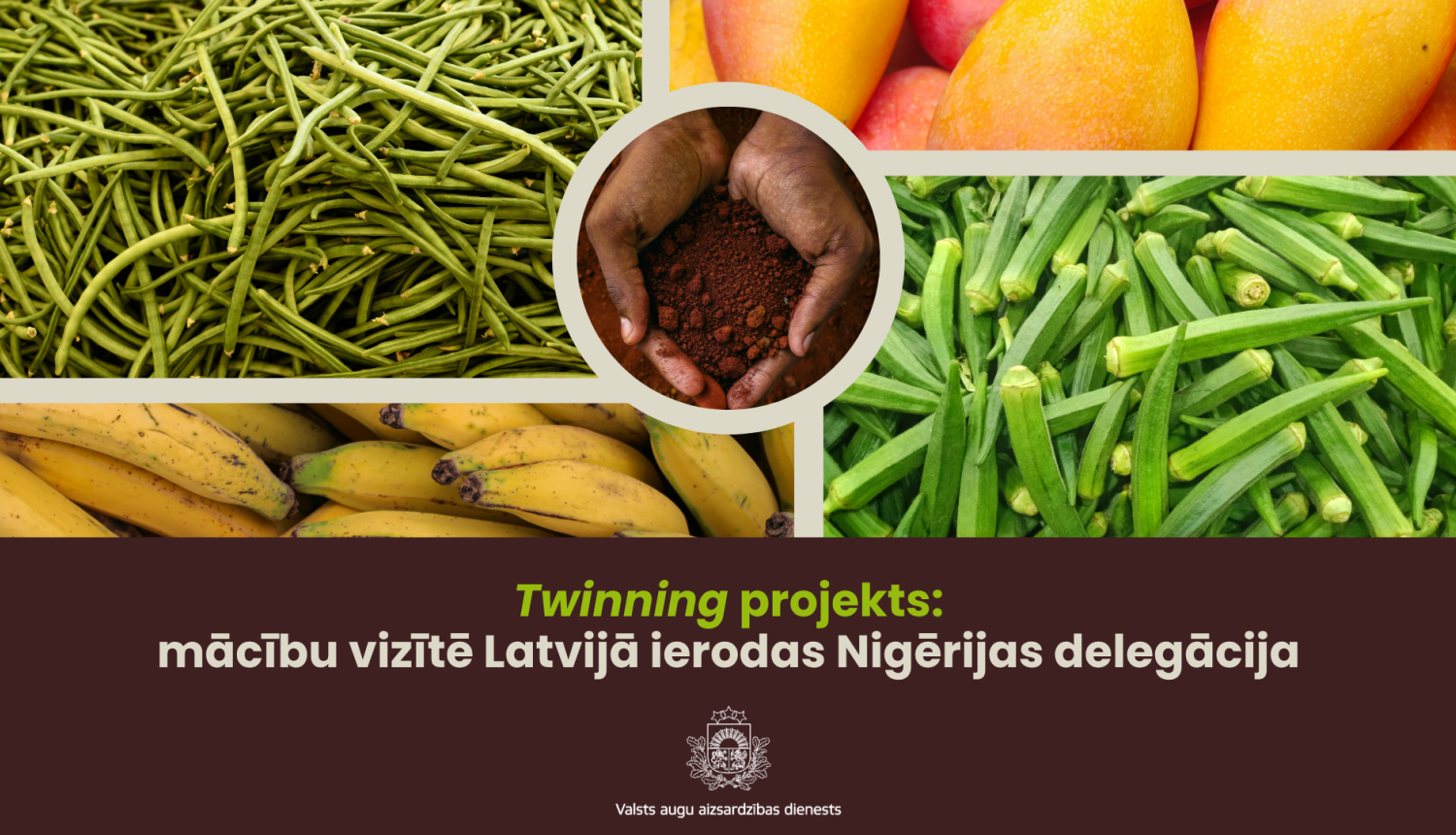 Nigērijas Twinning projekta baneris ar dažādiem Nigērijas kultūraugiem