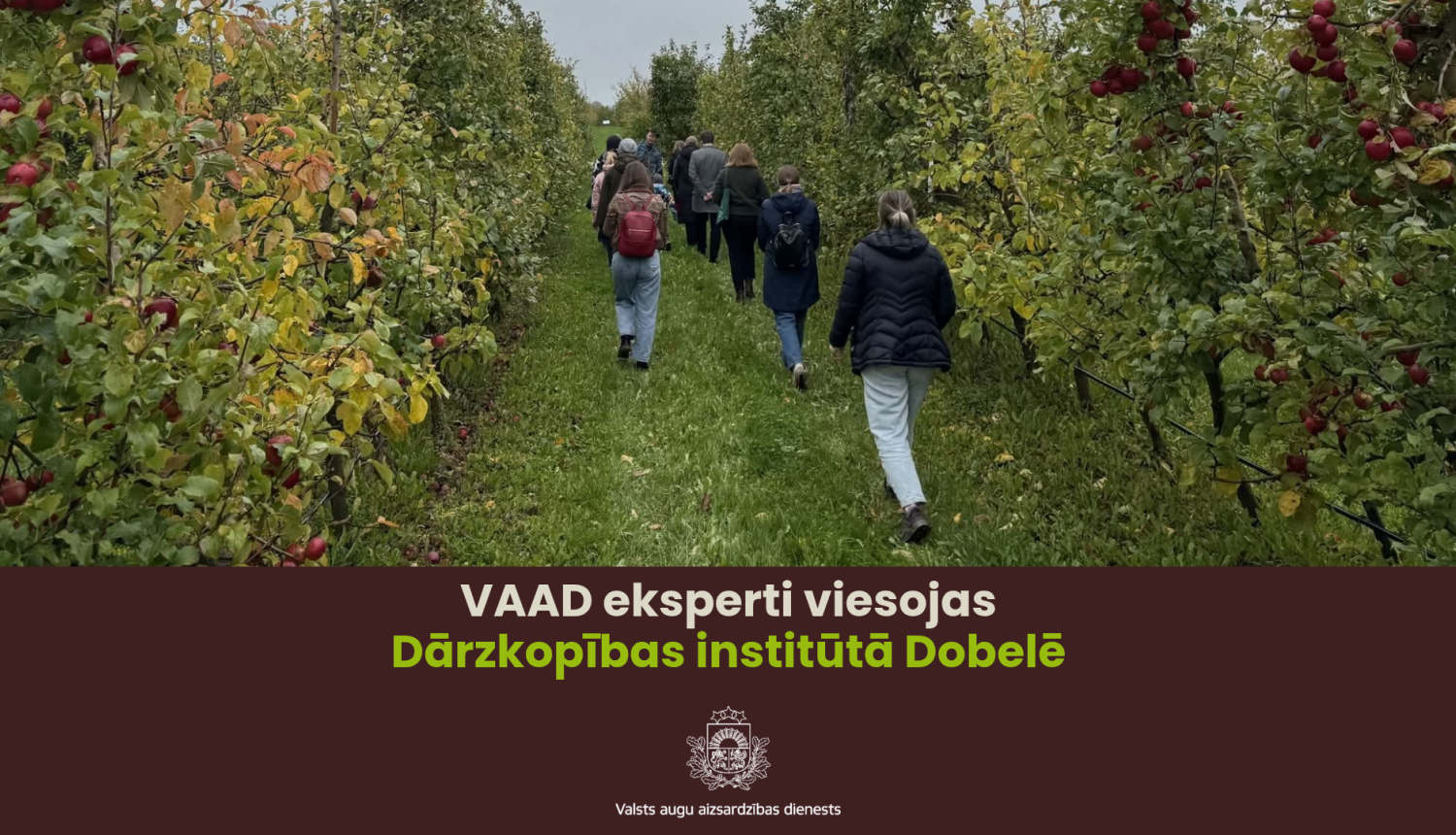 AAD eksperti Dobeles Dārzkopības institūtā 