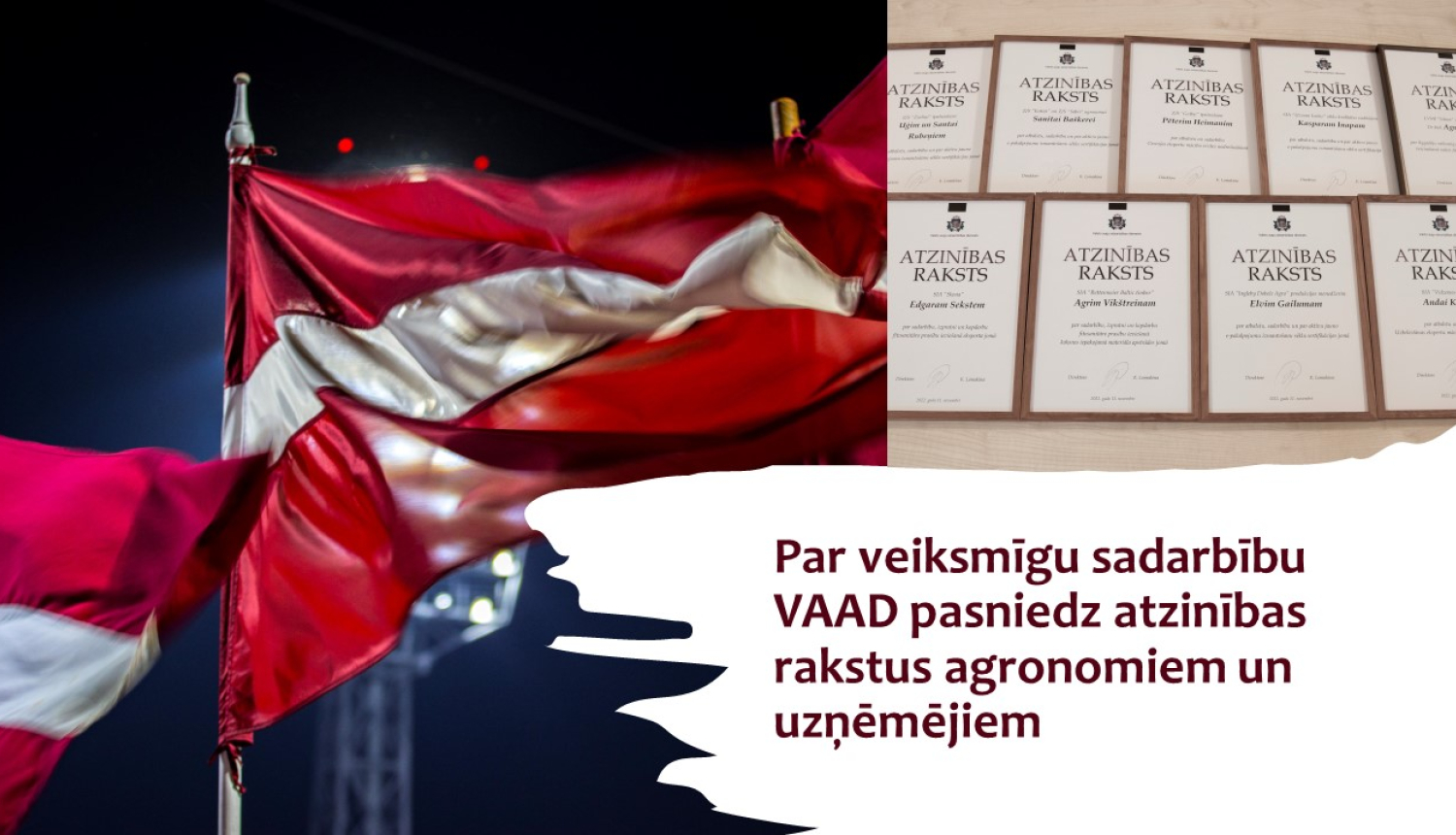 Vizualizēts attēls 