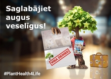 Koks, kas tur rokā pasi ar spiedogu "Vīza atteikta", blakus koferis un kampānas sauklis 