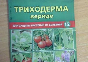 Trihoderma veride