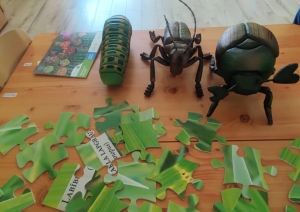 ūz galda kukaiņu maketi, puzle un bērenu grāmatiņa