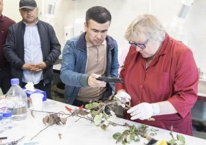 Nacionālās fitosanitārās laboratorijas telpas, eksperte M. Sila viesiem demonstrē zaļā parauga sadalīšanu