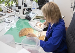 cilvēki laboratorijā