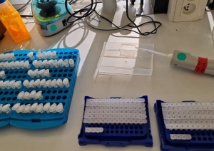 laboratorijas aprīkojums