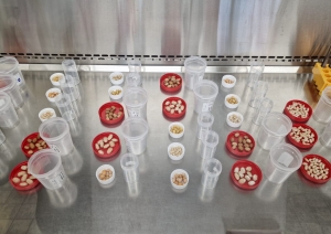 laboratorijas aprīkojums 