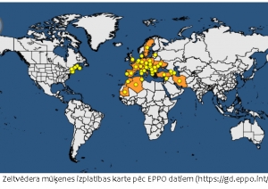 Zeltvēdera mūķenes izplatības karte