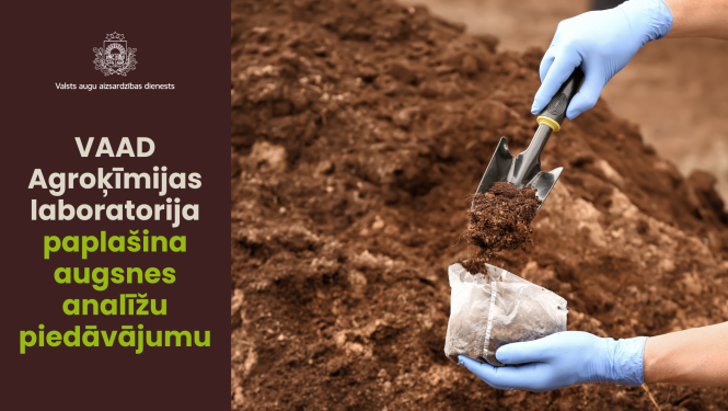 No kūdras kaudzes nelielā plastmasas maisiņā tiek iebērts augsnes paraugs ar metāla lāpstiņu.