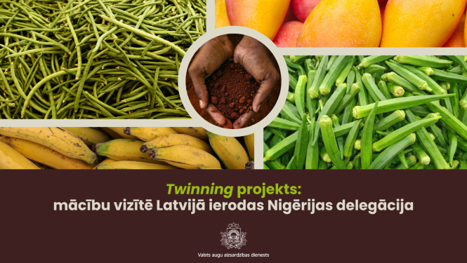 Nigērijas Twinning projekta baneris ar dažādiem Nigērijas kultūraugiem