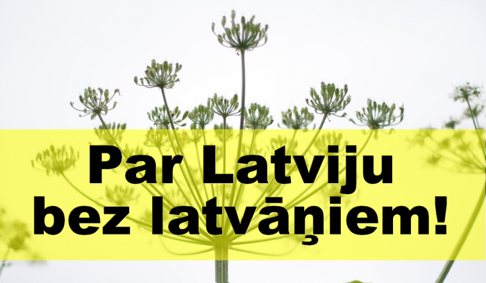 baneris ar uzrakstu "Par Latviju bez latvāņiem!"