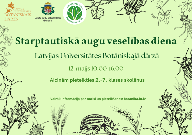 Pasākuma afiša - gar malām zīmēti kukainīši 