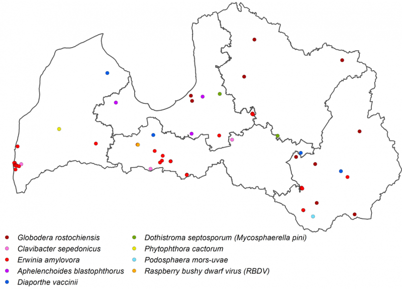 Latvijas karte ar iezīmētiem punktiem vietās, kur konstatēti karantīnas organismi