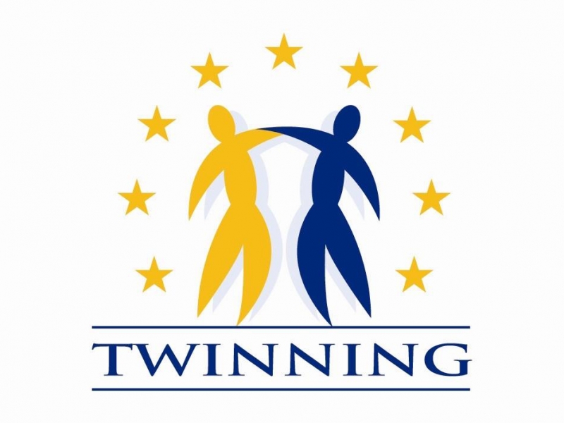 Twinning logo