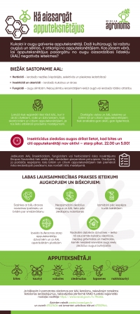 Infografika kā pasargāt apputeksnētājus