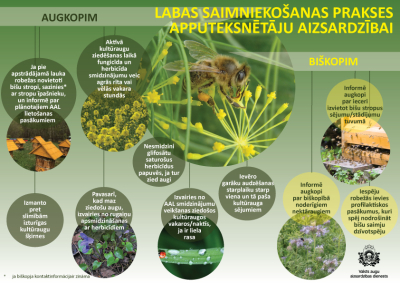 Teksta un attēlu vizualizācija