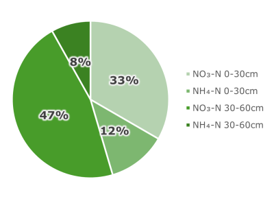Apļveida grafiks par slāpekļa sadalījumu procentos