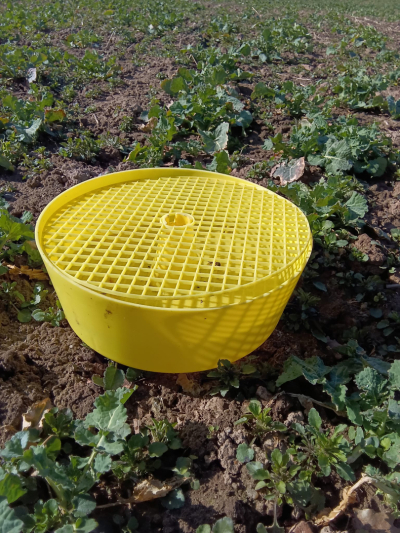 Uz lauka redzams dzeltens trauks smecernieku monitoringam. 