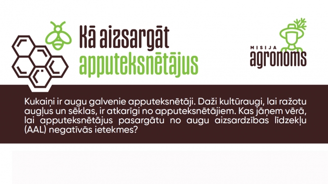 Fragments no infografikas