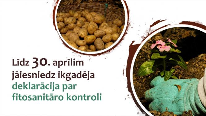 Stilizēti kartupeļu un stādu attēli ar tekstu 