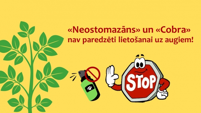 Vizualizēts attēls 
