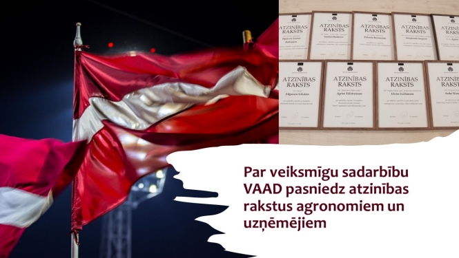 Vizualizēts attēls 