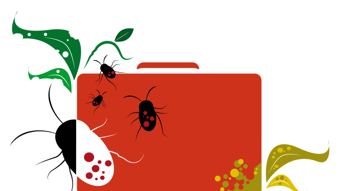 Lidostā “Rīga” notiks akcija “Nepakļauj riskam!”