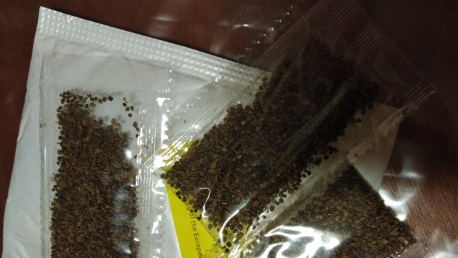 Brīdina par iespējamiem sēklu sūtījumiem no trešajām valstīm