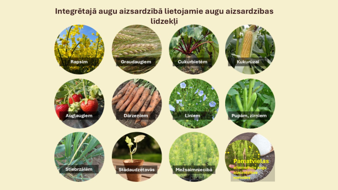 Vizuālis - 11 kultūraugu attēli aplīšos un pamatvielu (cukurs un kosas) attēls