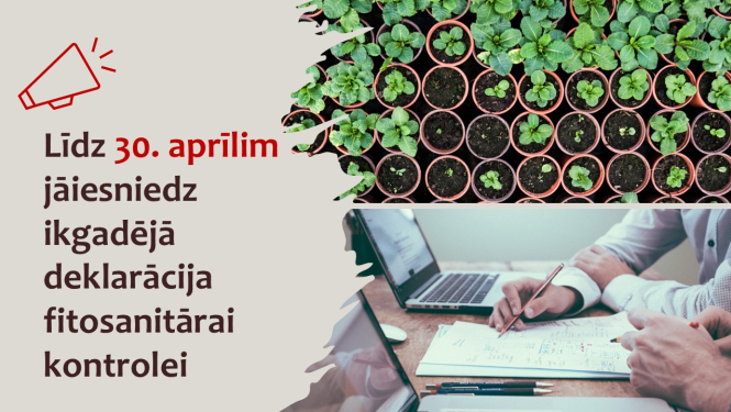 virsraksta teksts un divu attēlu kolēža - vienā stādi podiņos, otrā - roka ar pildspalvu, veidlapas un portatīvais dators