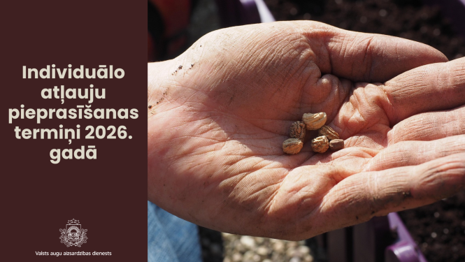 Kreisajā pusē teksts par individuālo atļauju pieprasīšanu 2026. gadā; labajā pusē vīrieša plaukstā pāris sēklas.