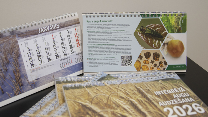 Uz galda vairāk kalendāri 